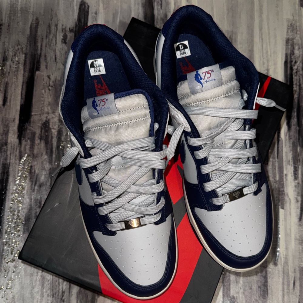 Nike Dunk Low EMB NBA 75th Anniversary Brooklyn Nets